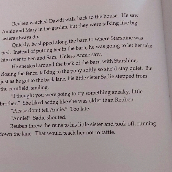 Book- Reuben and the Fire(P. Buckley Moss Drawings) - Picture 5 of 6